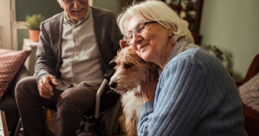 Top Low-Effort Companion Animals for Seniors